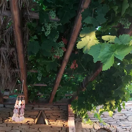 بيت ضيافة Paps Farm - Alexandria