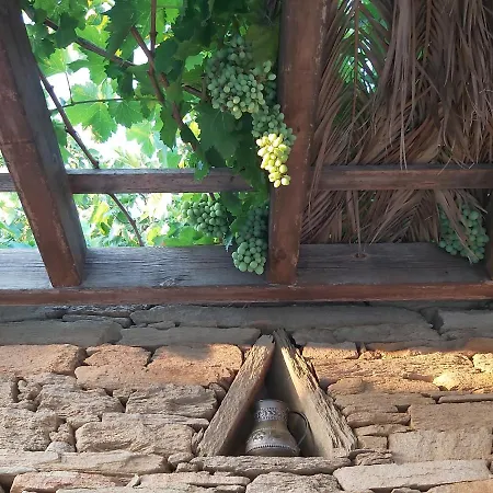 Paps Farm - Alexandria * Agios Petros (Andros)