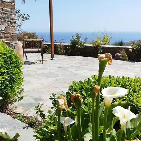 Guest house Paps Farm - Alexandria *